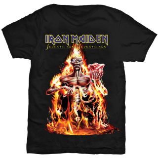 Tričko pánské Iron Maiden CM EXL Seventh Son